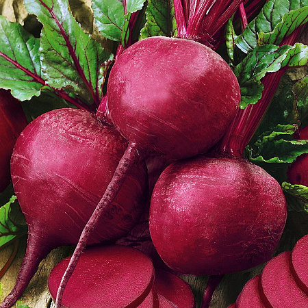 Фото Свёкла Ларка