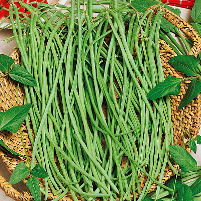 Фасоль Спагетти