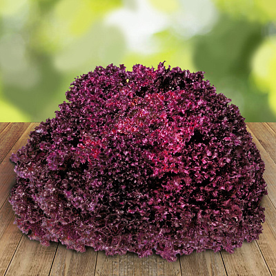 Салат Революция