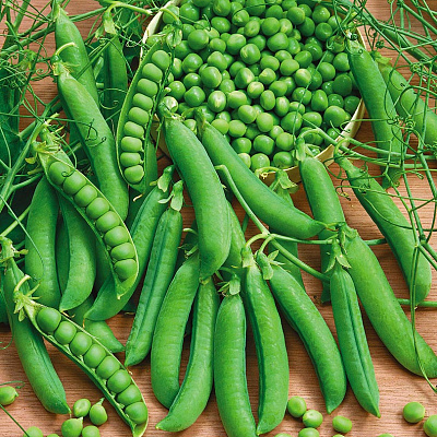 Горох Бартеса