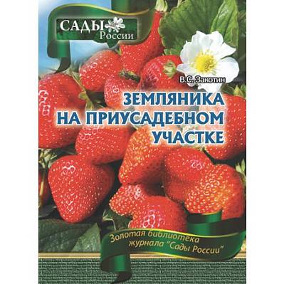 Фото Закотин В.С. Земляника на приусадебном участке