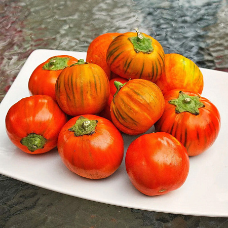 Фото Баклажан Африка