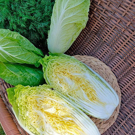 Фото Капуста пекинская Юки F1