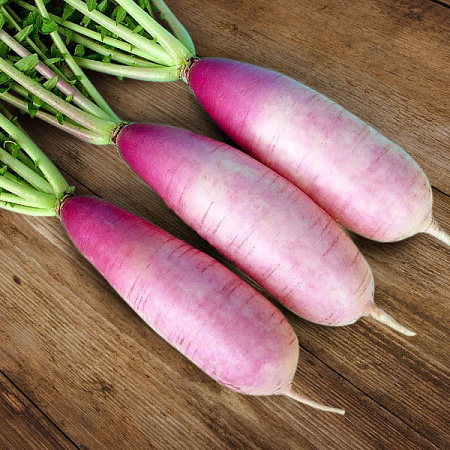 Фото Дайкон Мари F1