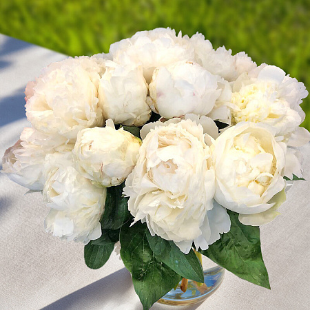 Фото Пион Брайдл Шауэр