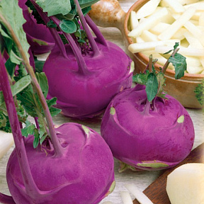 Капуста кольраби Гигант F1