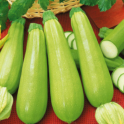 Кабачок Сверхранний F1