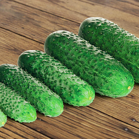 Огурец Лист F1