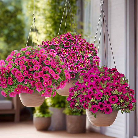 Фото Набор калибрахоа №1