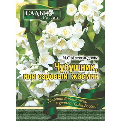 Фото Александрова М.С. Чубушник или садовый жасмин