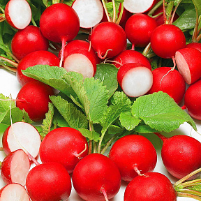 Редис Рондеел