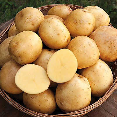 Картофель Шах