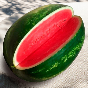 Арбуз Васко F1