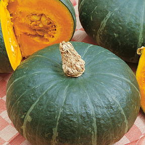 Тыква Свит мама F1