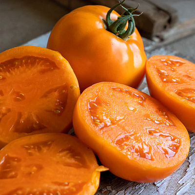 Помидор Бабье лето F1