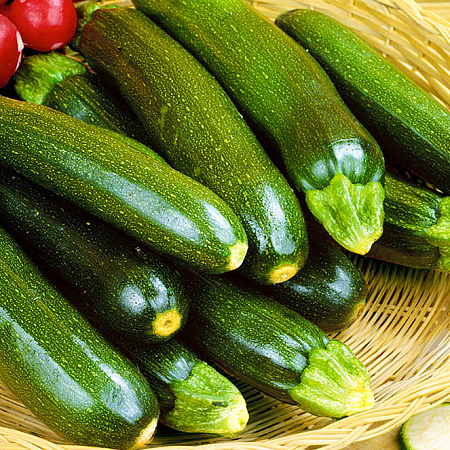 Фото Кабачок Лёгкий сбор Зелёный F1