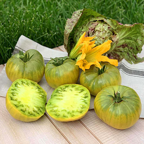 Помидор Фисташковый великан