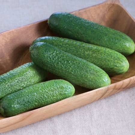 Фото Огурец Рэппер F1 5шт