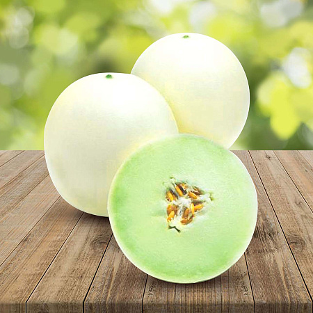 Фото Дыня Ханикомб