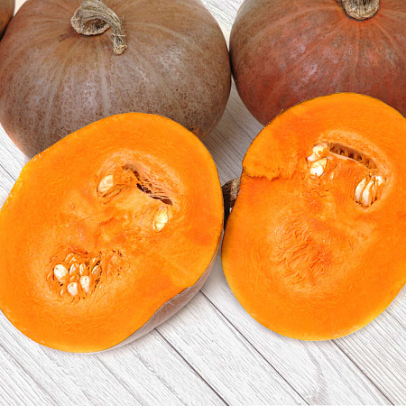 Фото Тыква Юла