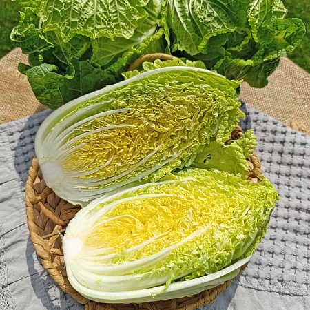 Фото Капуста пекинская Юки F1