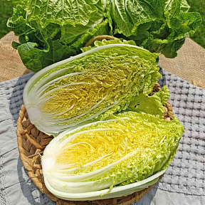 Капуста пекинская Юки F1