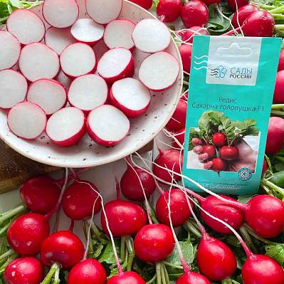 Фото Редис Сахарна головушка F1