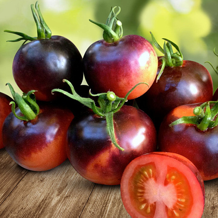 Фото Помидор Земба