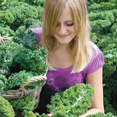 Капуста листовая Рефлекс F1