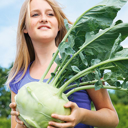 Фото Капуста кольраби Гигантская F1