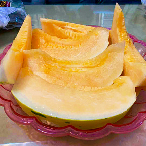 Дыня Фестиваль оранж F1