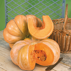 Тыква Мускатная Прованская F1