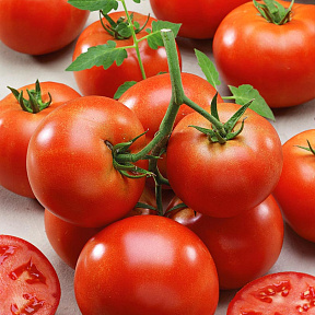 Помидор Зефир F1