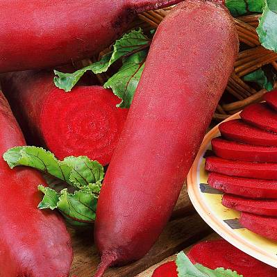 Фото Свёкла Кариллон 1гр