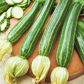 Кабачок Тапир F1