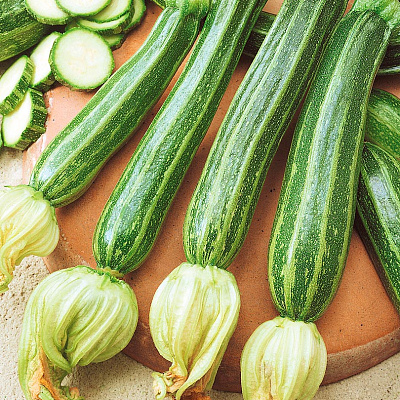 Кабачок Тапир F1