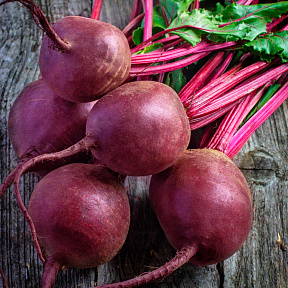 Свёкла Капитан