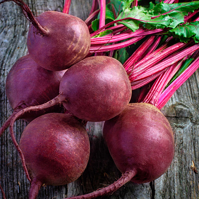 Свёкла Капитан