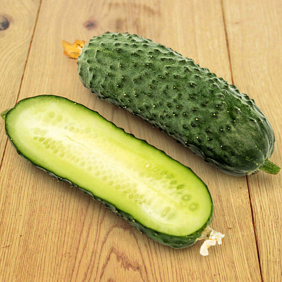 Огурец Шоша