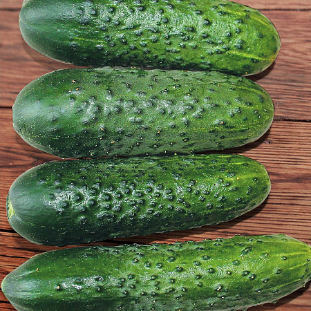 Фото Огурец Макарушка F1