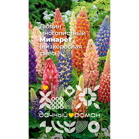 Фото Семена Люпин многолистный Минарет (низкорослая смесь), 0,5 гр. Дачный роман