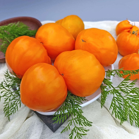 Фото Помидор Золотое бычье сердце F1