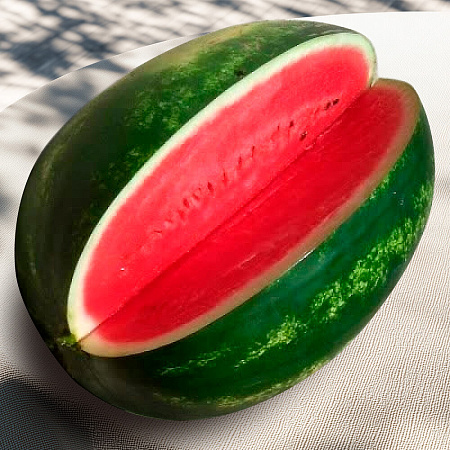 Фото Арбуз Васко F1