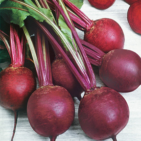 Свёкла Кестрел F1 1гр