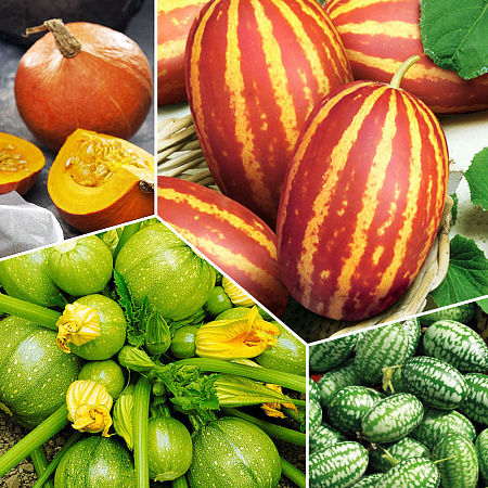 Фото Удивительный набор Галилео