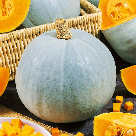 Фото Тыква Крошка F1