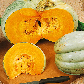 Тыква Лёжкая F1