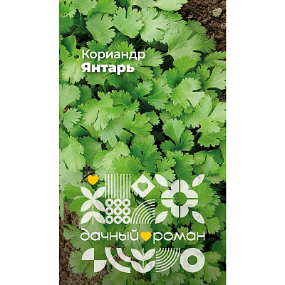 Семена Кориандр Янтарь, 1 гр. Дачный роман