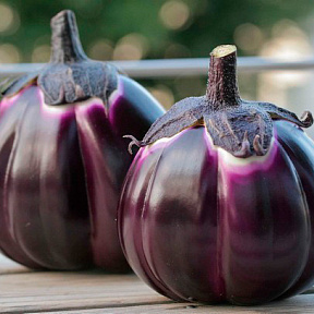 Баклажан Барбарелла F1