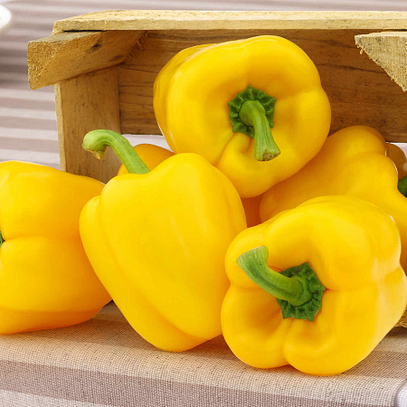 Фото Перец сладкий Абей F1 5шт